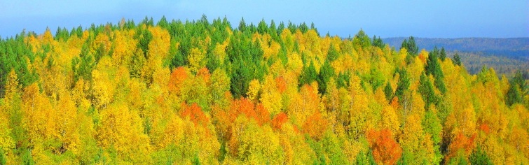 Баннер 2